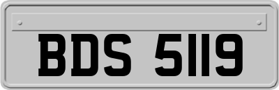 BDS5119