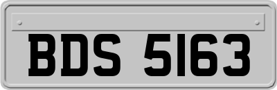 BDS5163