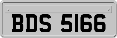 BDS5166