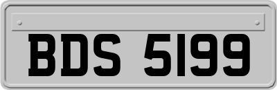 BDS5199