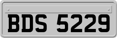 BDS5229