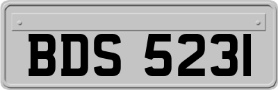 BDS5231