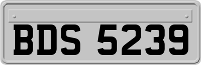 BDS5239