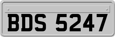 BDS5247