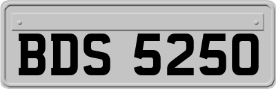BDS5250