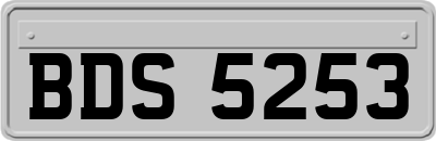 BDS5253
