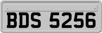 BDS5256