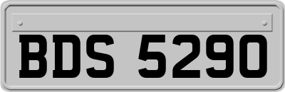 BDS5290