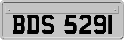 BDS5291