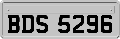 BDS5296