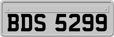 BDS5299