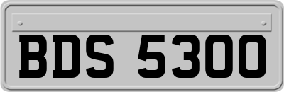 BDS5300