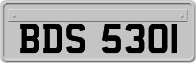 BDS5301