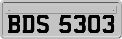 BDS5303