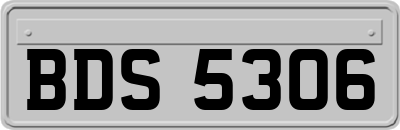 BDS5306