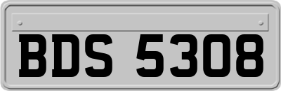 BDS5308