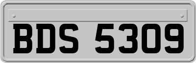 BDS5309