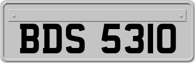 BDS5310
