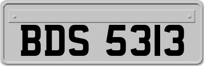 BDS5313