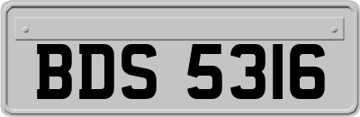 BDS5316