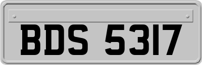 BDS5317