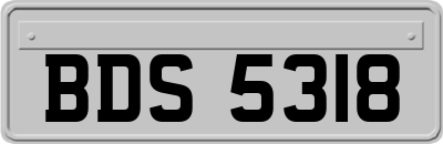 BDS5318