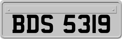 BDS5319