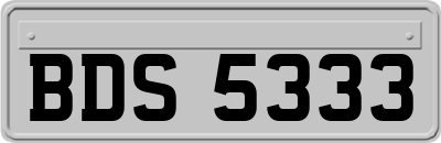 BDS5333