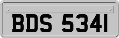 BDS5341
