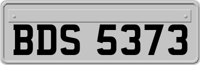 BDS5373