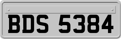 BDS5384