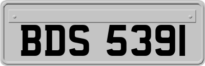BDS5391