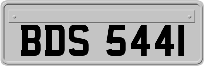BDS5441