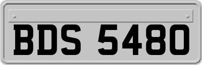 BDS5480