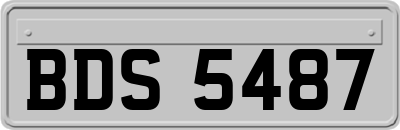 BDS5487