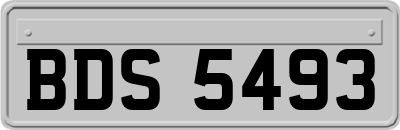 BDS5493