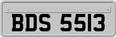 BDS5513