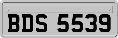 BDS5539