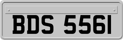 BDS5561