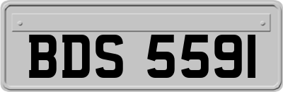 BDS5591