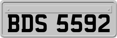 BDS5592