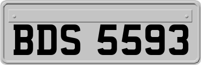 BDS5593