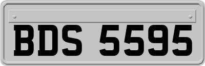 BDS5595