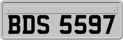 BDS5597