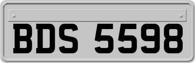 BDS5598