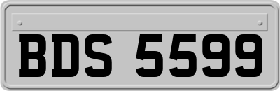 BDS5599