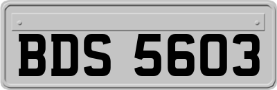 BDS5603