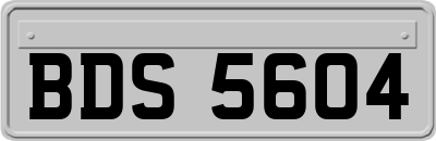 BDS5604