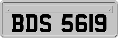 BDS5619