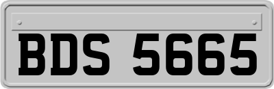 BDS5665